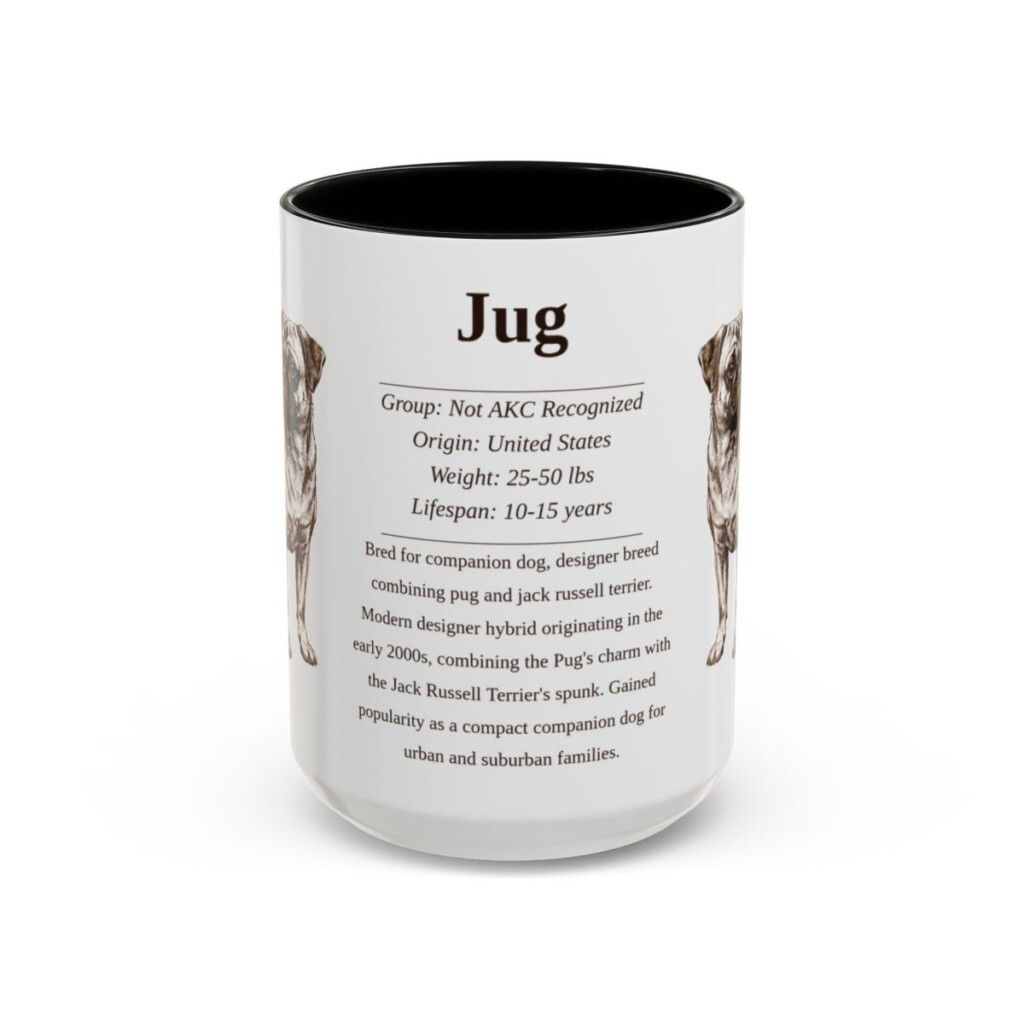 15oz Jug Mug, Black, front view