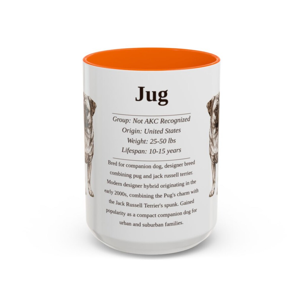 15oz Jug Mug, Orange, front view