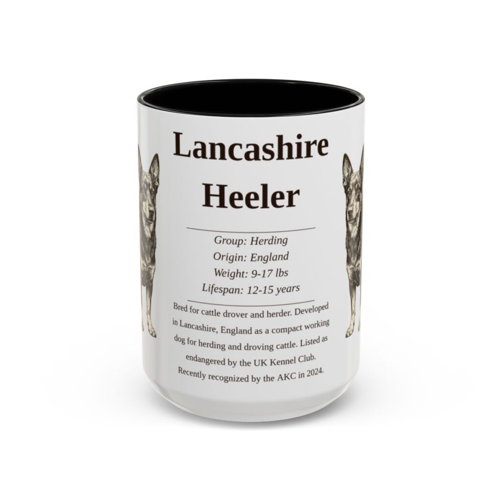 15oz Lancashire Heeler Mug, Black, front view