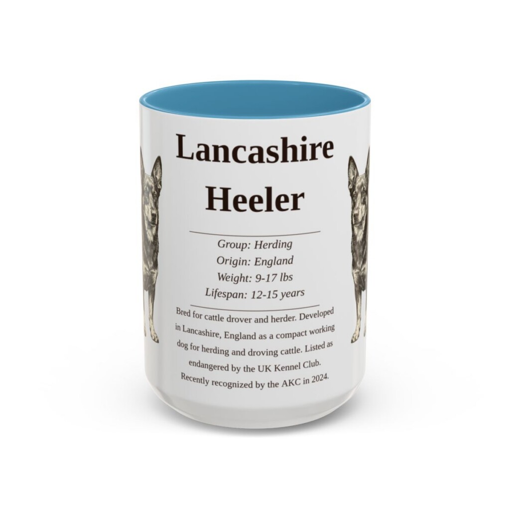 15oz Lancashire Heeler Mug, Light Blue, front view