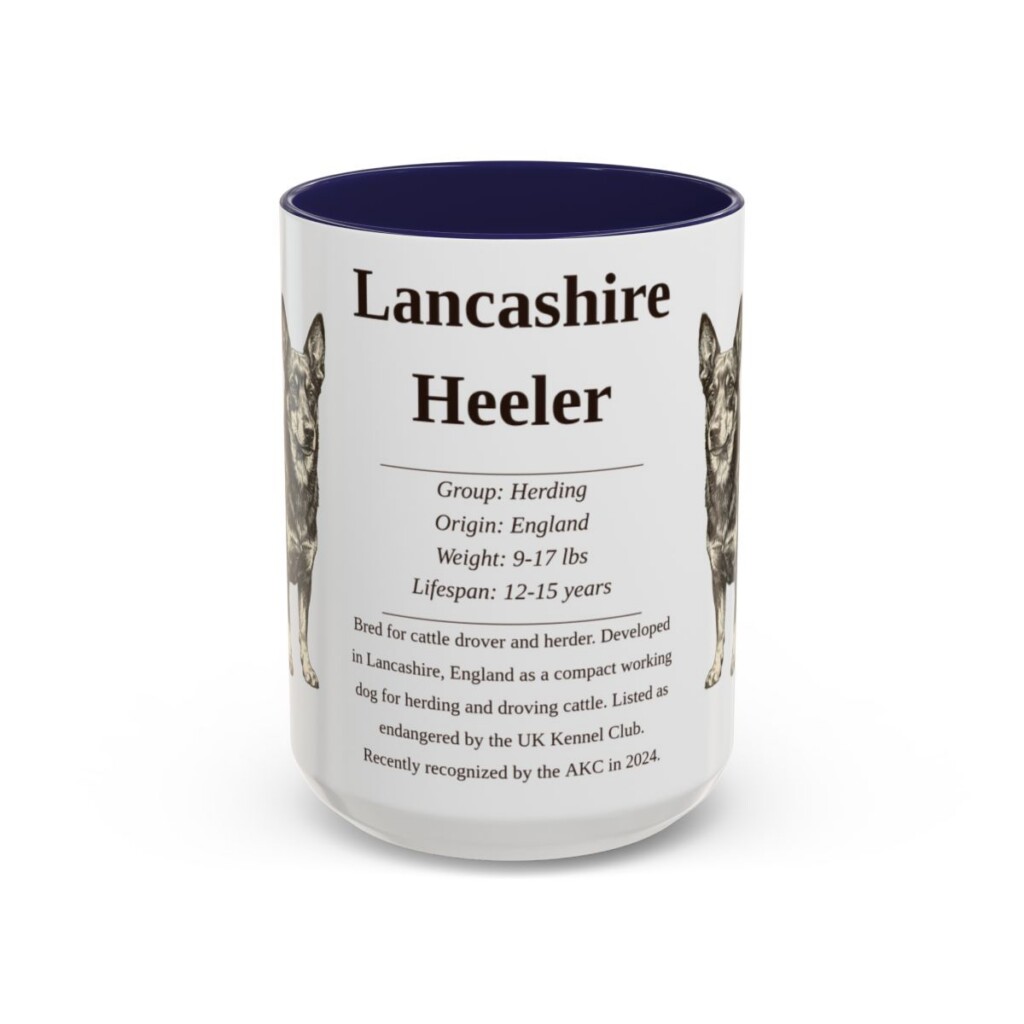 15oz Lancashire Heeler Mug, Navy, front view