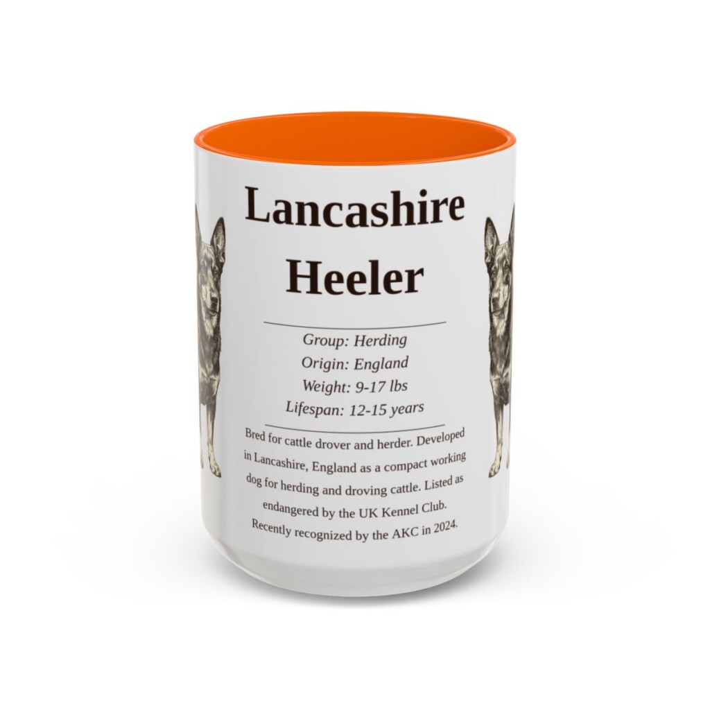 15oz Lancashire Heeler Mug, Orange, front view