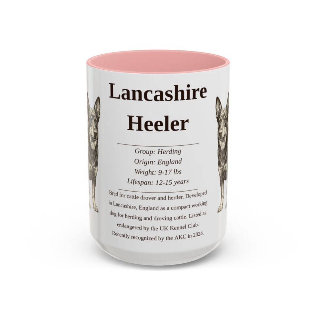 15oz Lancashire Heeler Mug, Pink, front view