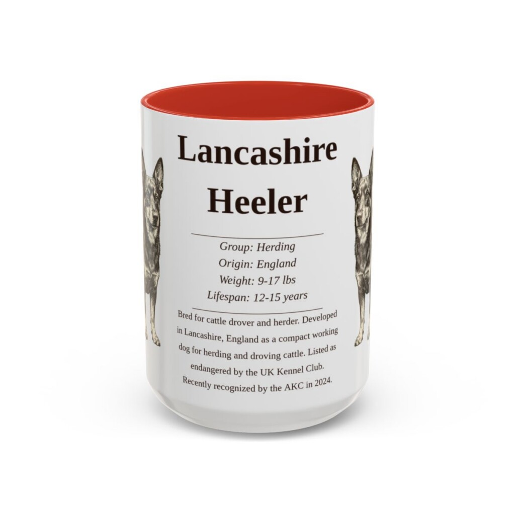 15oz Lancashire Heeler Mug, Red, front view