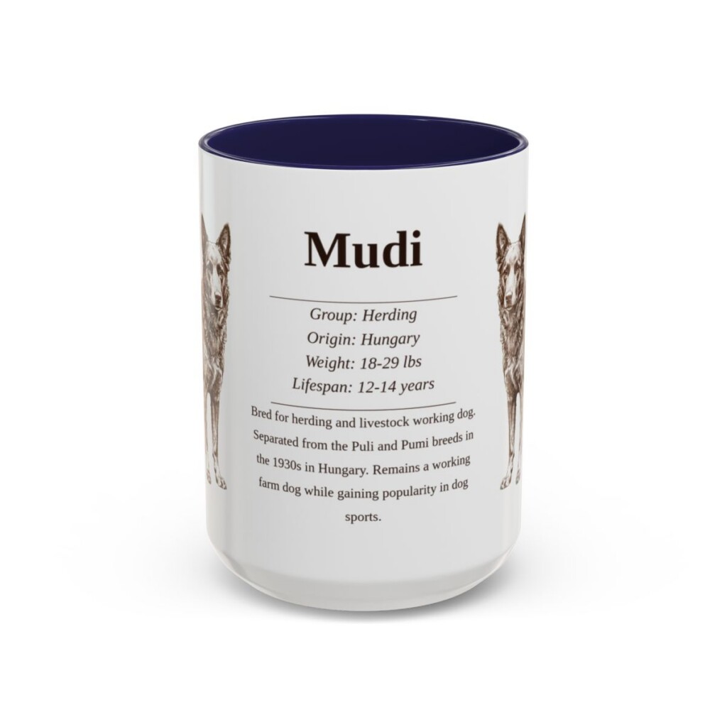 15oz Mudi Mug, Navy, front view