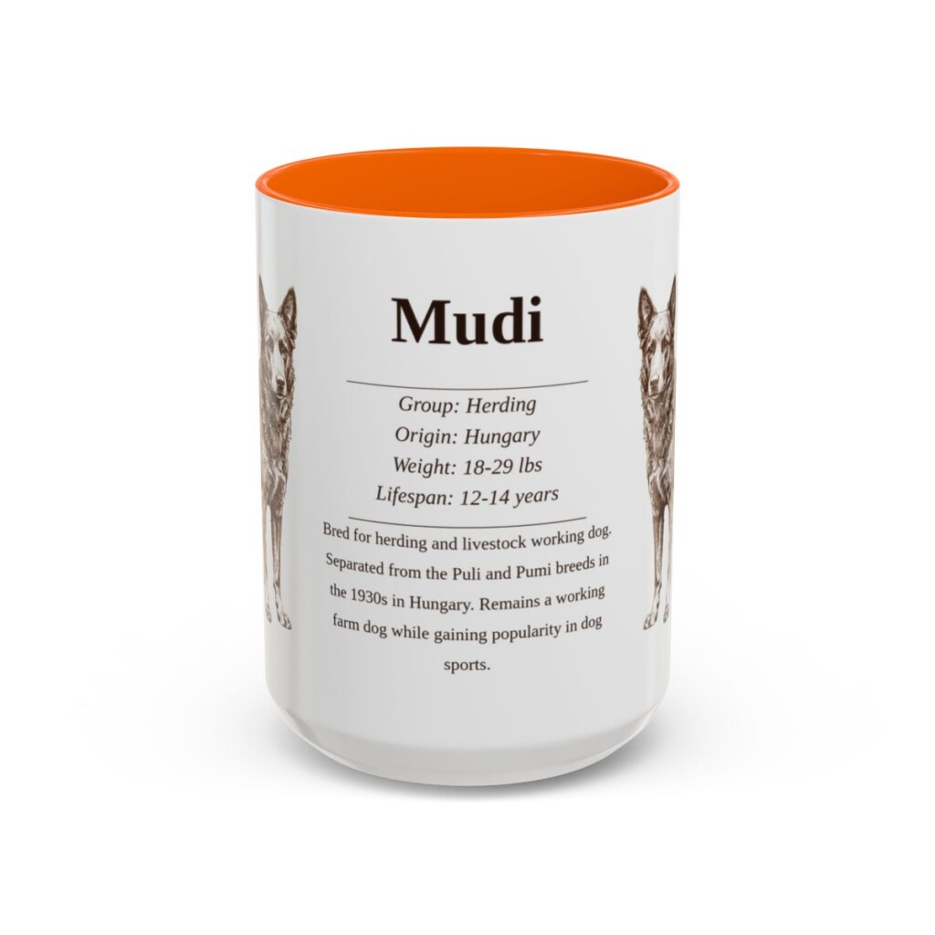 15oz Mudi Mug, Orange, front view