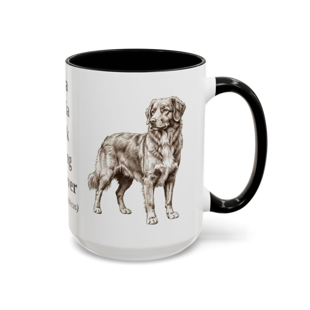 15oz-nova-scotia-duck-tolling-retriever-mug-latin-black-right 15oz Nova Scotia Duck Tolling Retriever Latin Mug, Black, right side view
