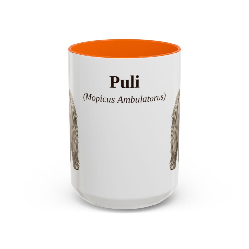 15oz Puli Latin Mug, Orange, front view