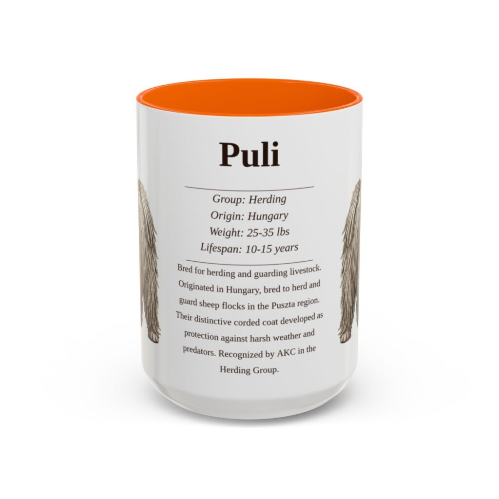 15oz Puli Mug, Orange, front view