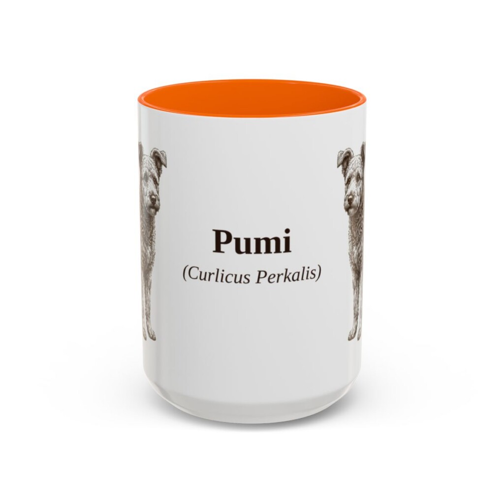 15oz Pumi Latin Mug, Orange, front view