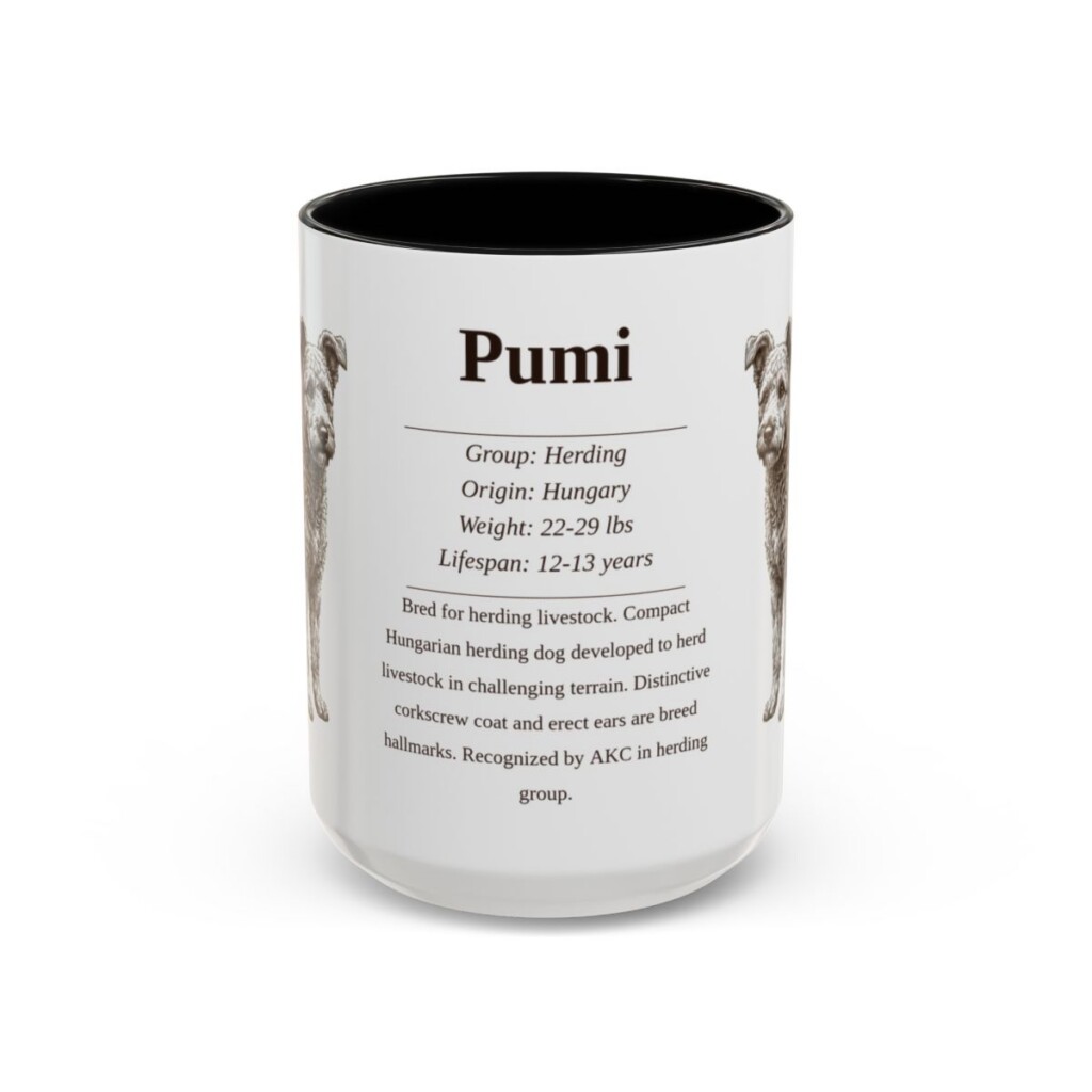 15oz Pumi Mug, Black, front view