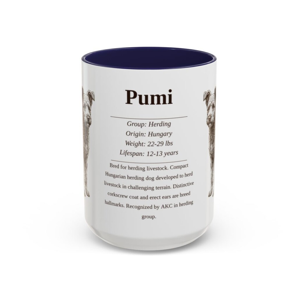 15oz Pumi Mug, Navy, front view