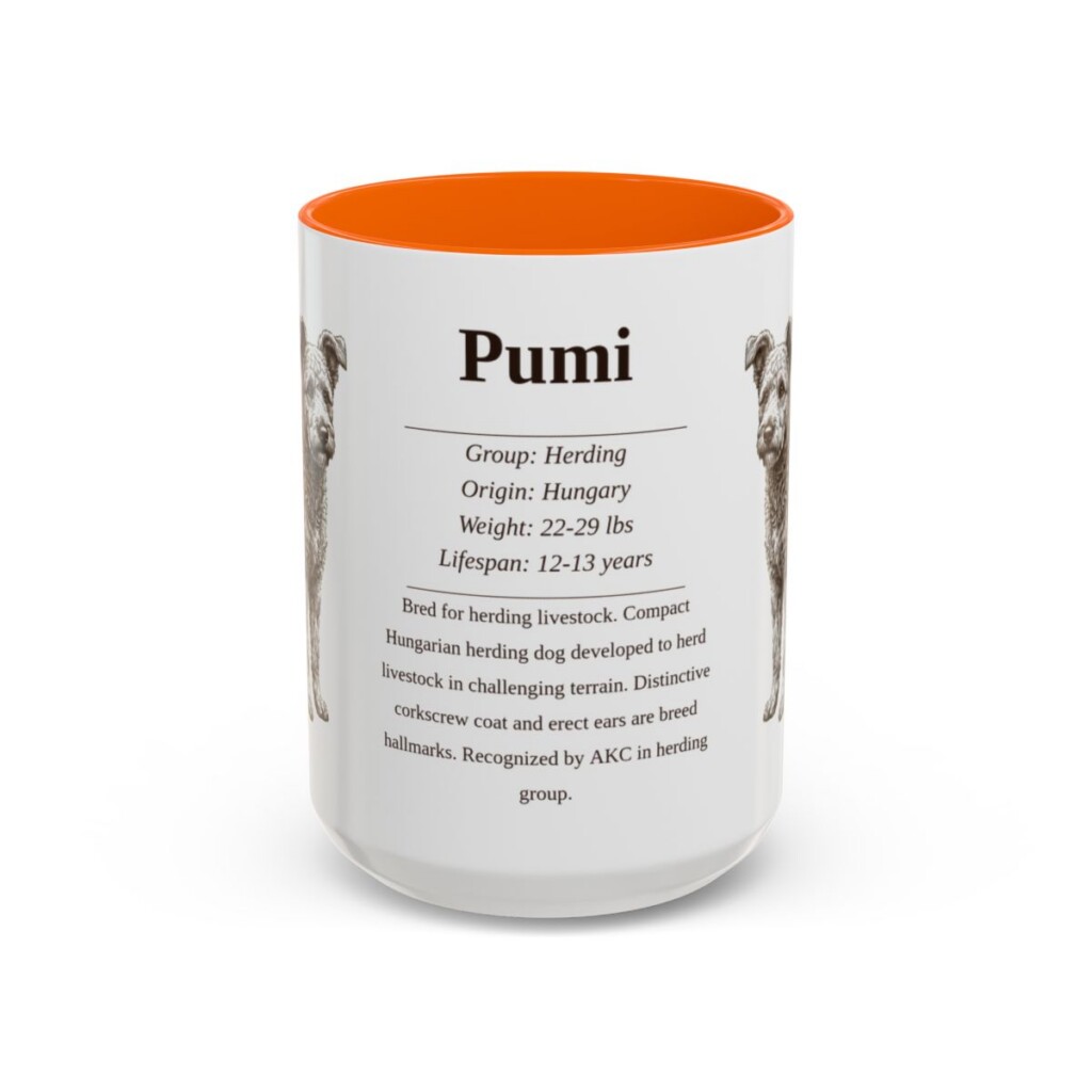 15oz Pumi Mug, Orange, front view