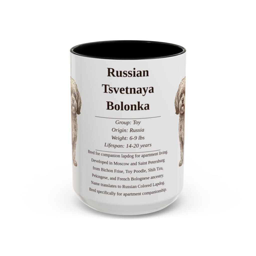 15oz Russian Tsvetnaya Bolonka Mug, Black, front view