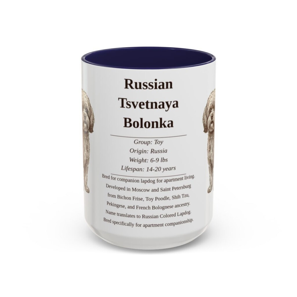 15oz Russian Tsvetnaya Bolonka Mug, Navy, front view