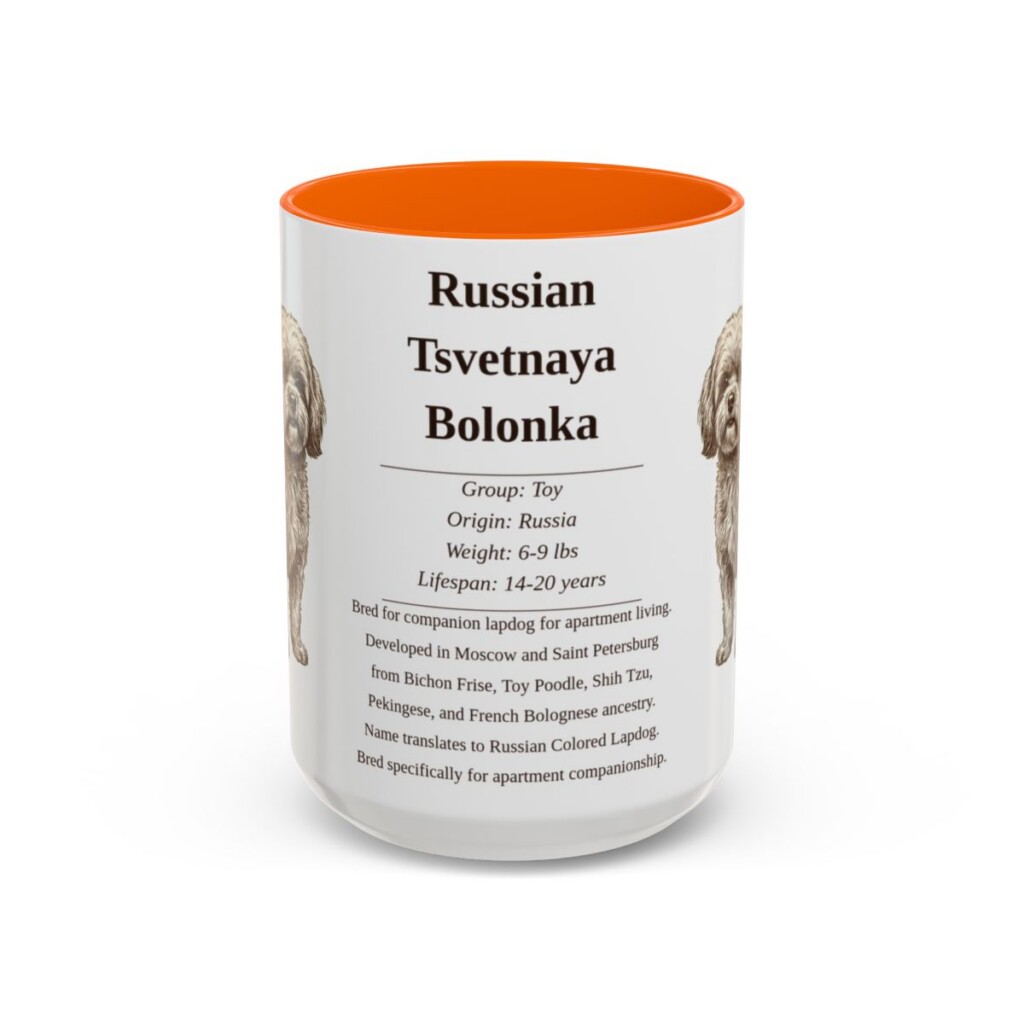 15oz Russian Tsvetnaya Bolonka Mug, Orange, front view
