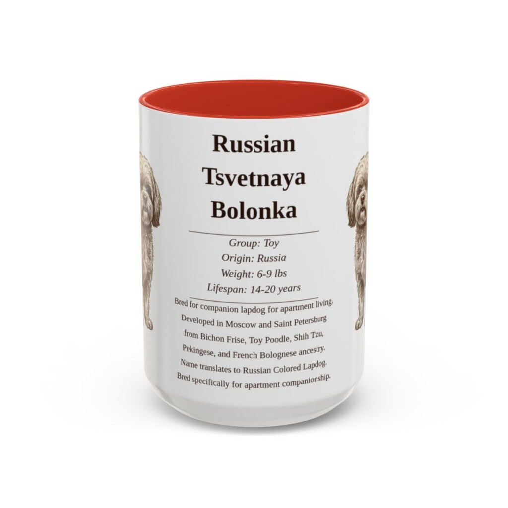 15oz Russian Tsvetnaya Bolonka Mug, Red, front view