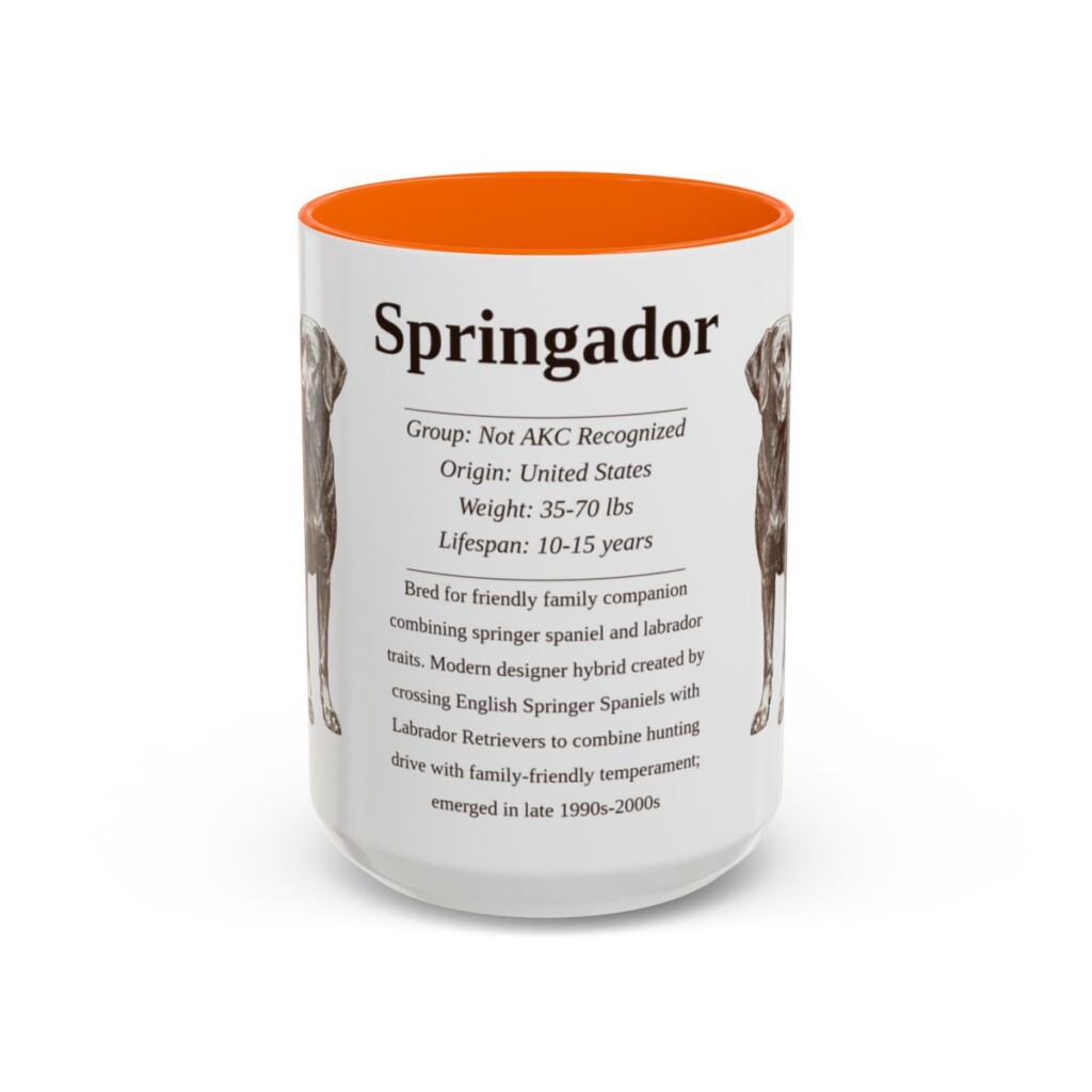 15oz Springador Mug, Orange, front view