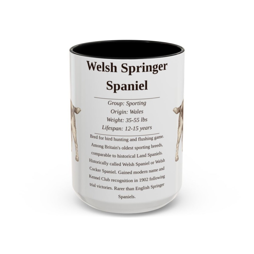 15oz Welsh Springer Spaniel Mug, Black, front view