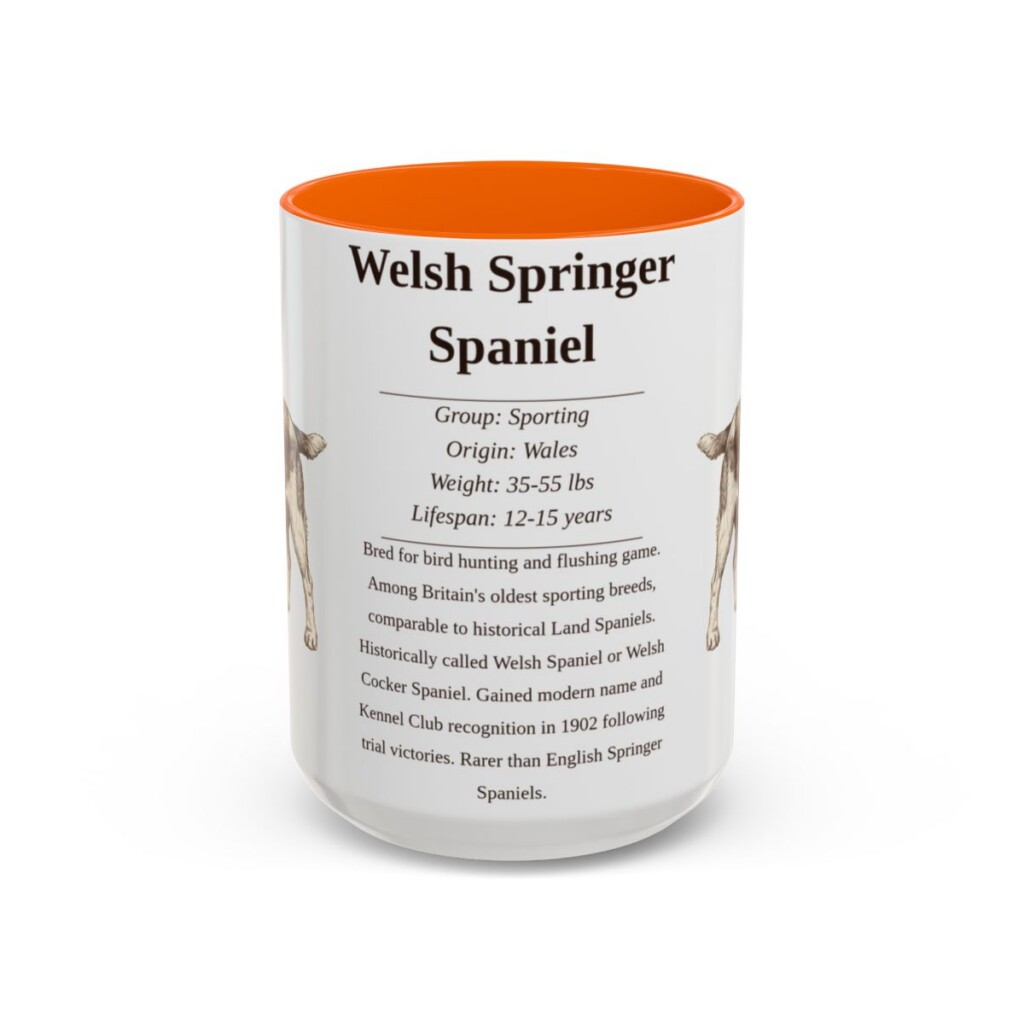15oz Welsh Springer Spaniel Mug, Orange, front view