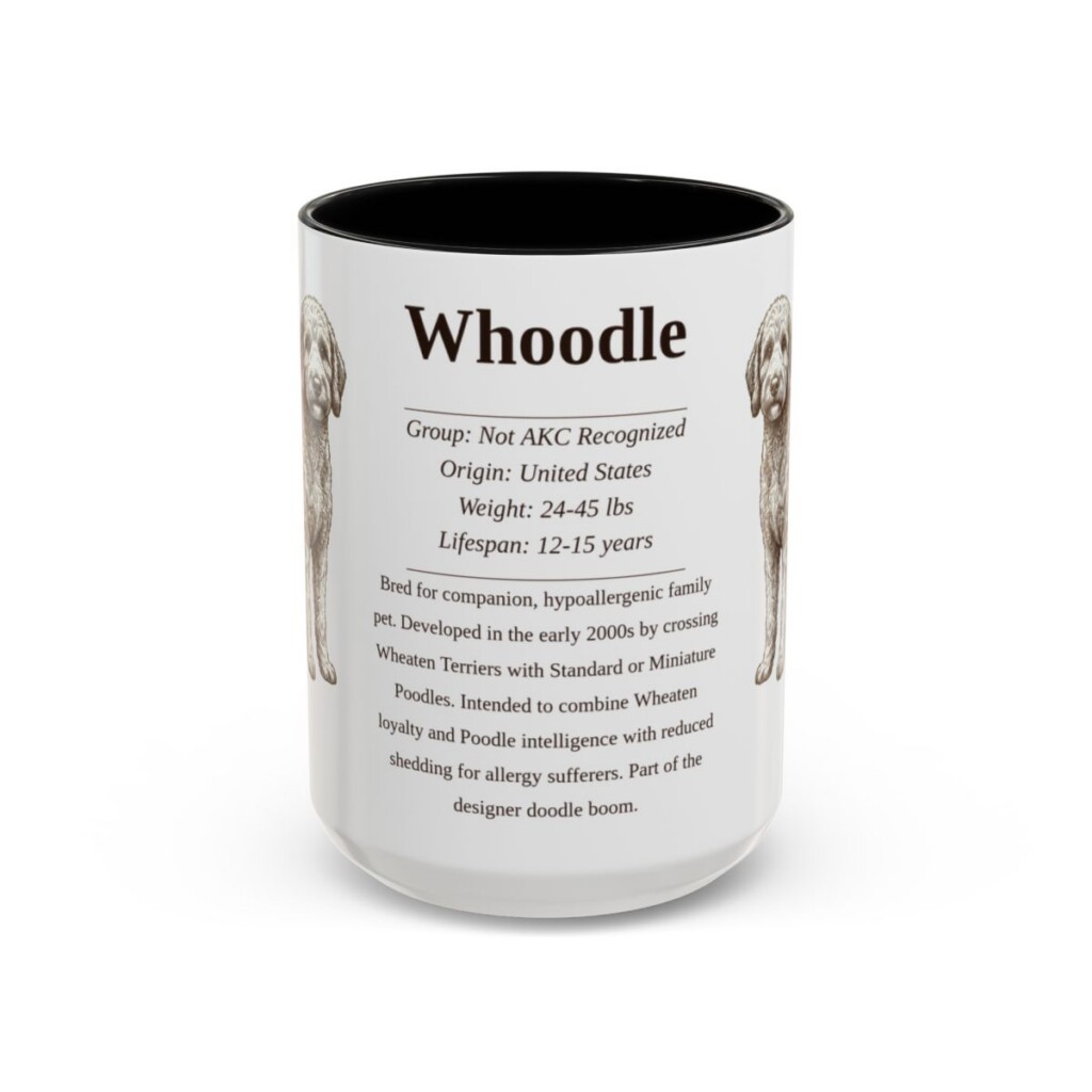 15oz Whoodle Mug, Black, front view
