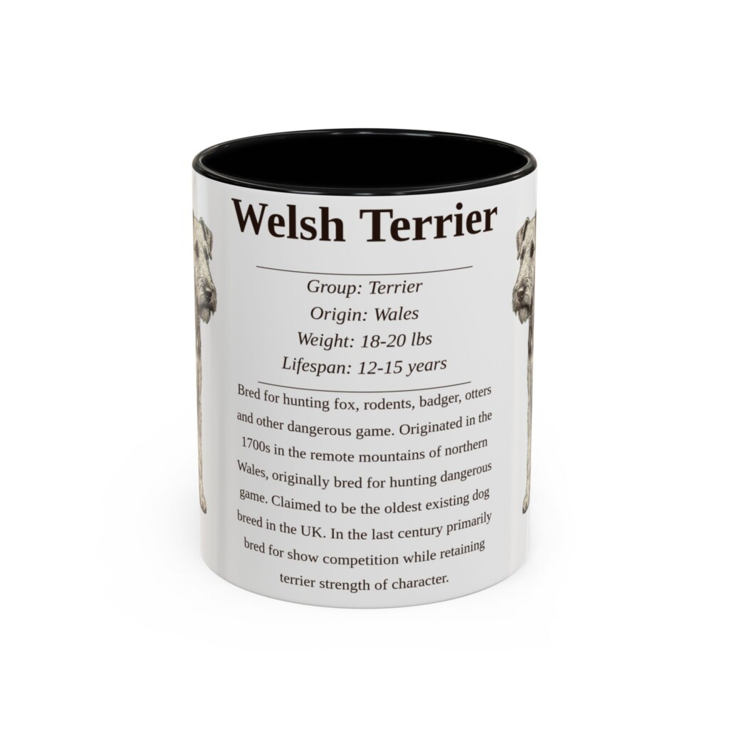 11oz Welsh Terrier Mug, Illustrated Dog Breed Facts Coffee Mug, Vintage Dog Keepsake Gift
