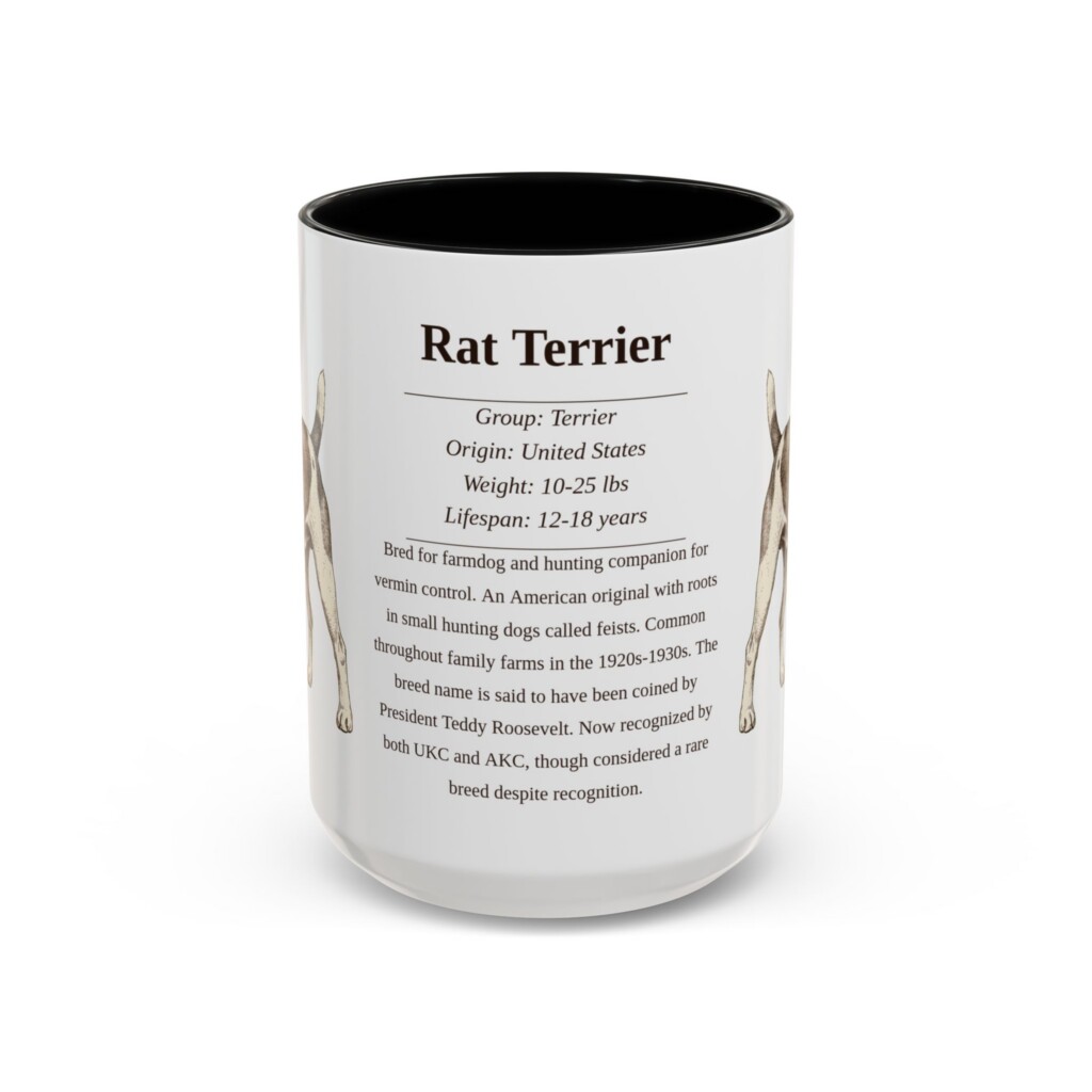 16615688413339371910_2048.jpeg 15oz Rat Terrier Mug, Illustrated Dog Breed Facts Coffee Mug, Vintage Dog Keepsake Gift