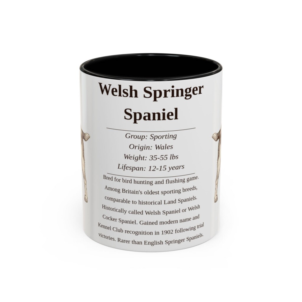 11oz Welsh Springer Spaniel Mug, Illustrated Dog Breed Facts Coffee Mug, Vintage Dog Keepsake Gift