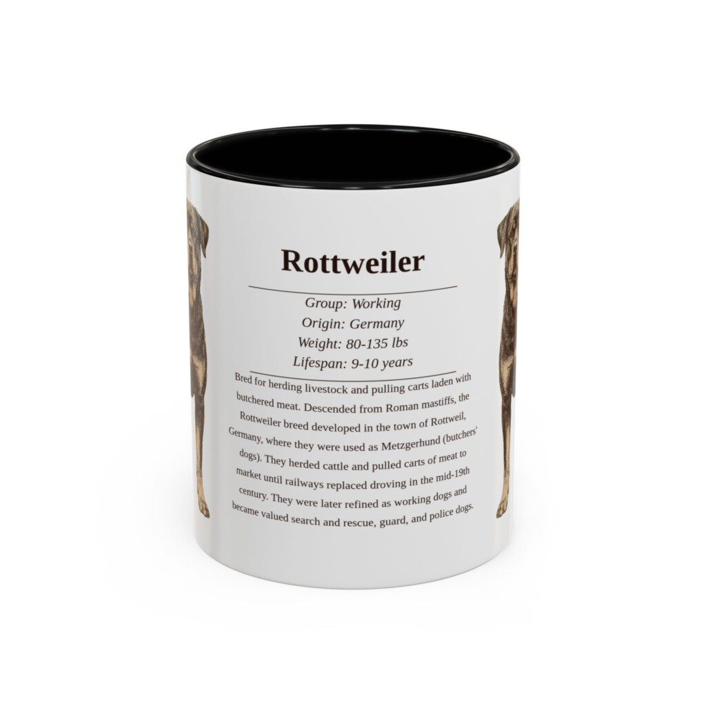 11oz Rottweiler Mug, Illustrated Dog Breed Facts Coffee Mug, Vintage Dog Keepsake Gift