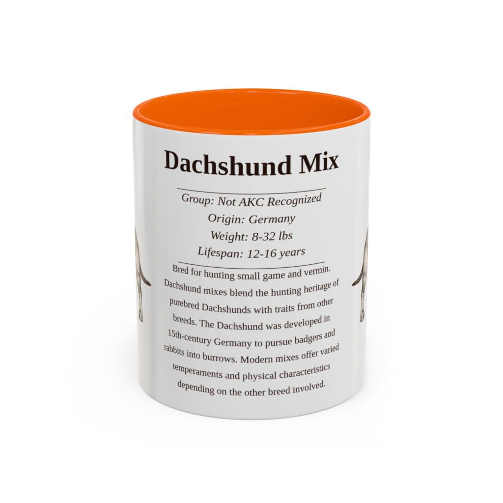 17316245473926491372_2048.jpeg 11oz Dachshund Mix Mug, Pink, front view