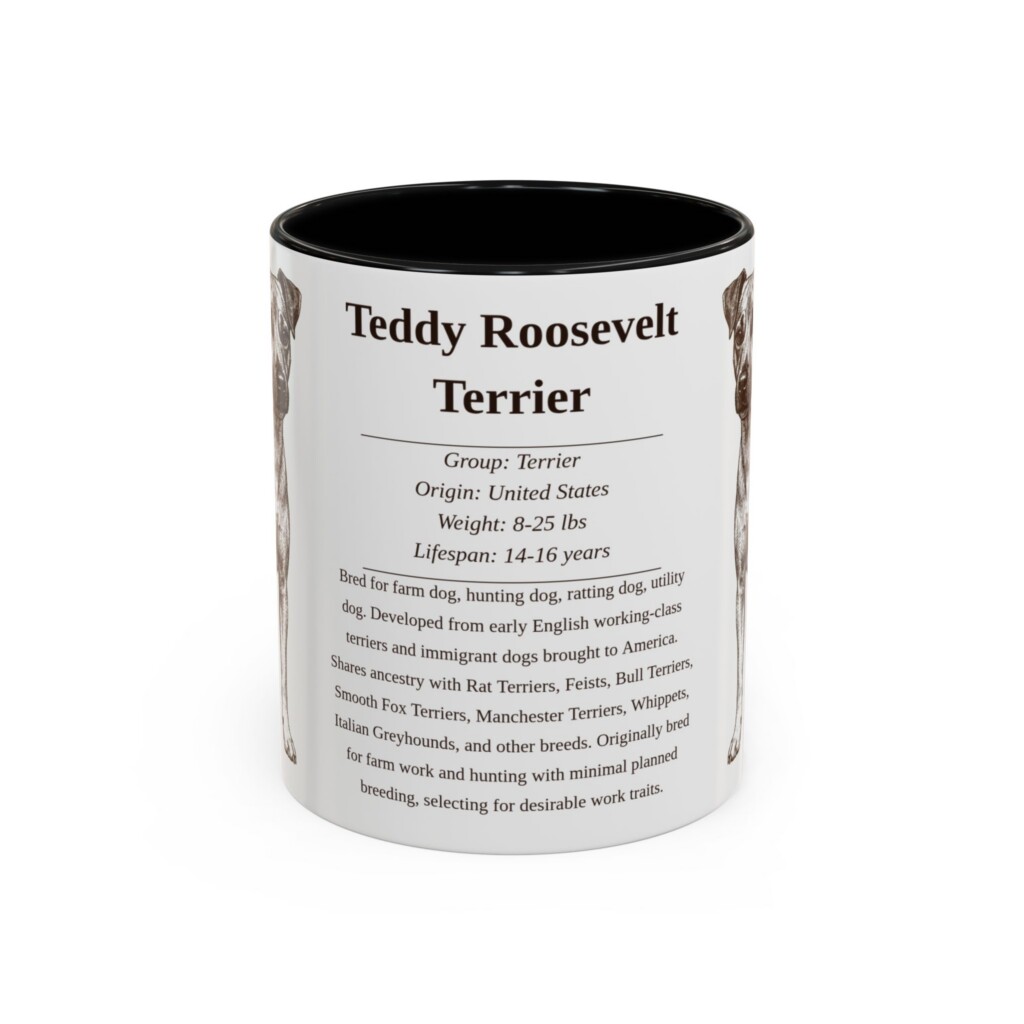 11oz Teddy Roosevelt Terrier Mug, Illustrated Dog Breed Facts Coffee Mug, Vintage Dog Keepsake Gift
