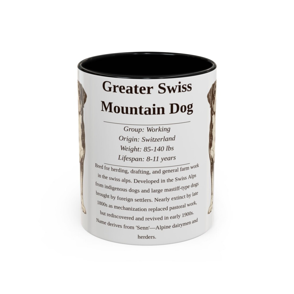 11oz Greater Swiss Mountain Dog Mug, Illustrated Dog Breed Facts Coffee Mug, Vintage Dog Keepsake Gift