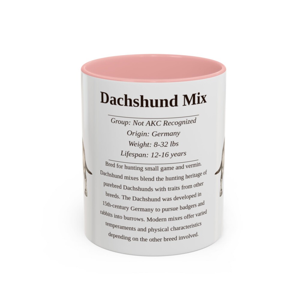 3070799907262225032_2048.jpeg 11oz Dachshund Mix Mug, Purple, front view