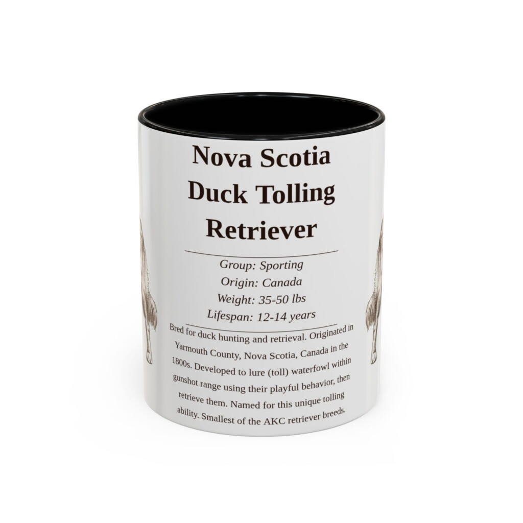 11oz Nova Scotia Duck Tolling Retriever Mug, Illustrated Dog Breed Facts Coffee Mug, Vintage Dog Keepsake Gift