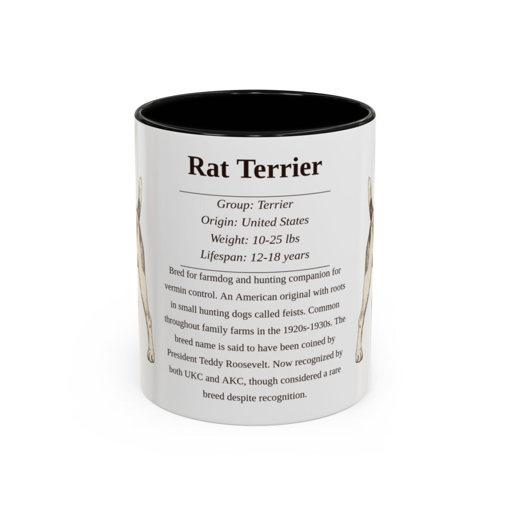3550104895351112715_2048.jpeg 11oz Rat Terrier Mug, Illustrated Dog Breed Facts Coffee Mug, Vintage Dog Keepsake Gift
