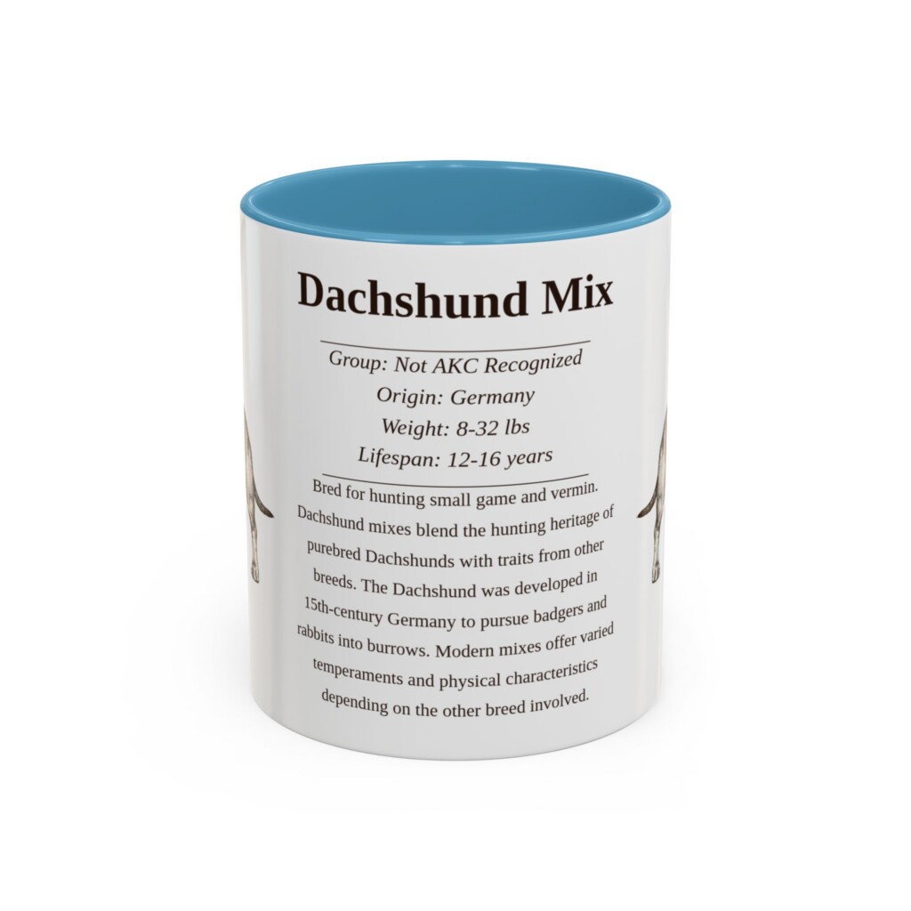 3772503023601027220_2048.jpeg 11oz Dachshund Mix Mug, Orange, front view