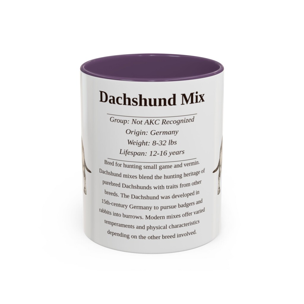 4424473158918972241_2048.jpeg 11oz Dachshund Mix Mug, Light Green, front view