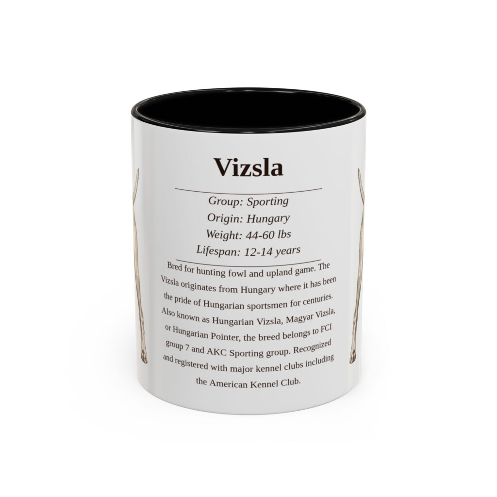 11oz Vizsla Mug, Illustrated Dog Breed Facts Coffee Mug, Vintage Dog Keepsake Gift