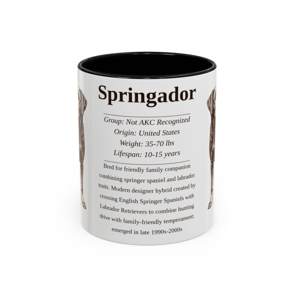 11oz Springador Mug, Illustrated Dog Breed Facts Coffee Mug, Vintage Dog Keepsake Gift