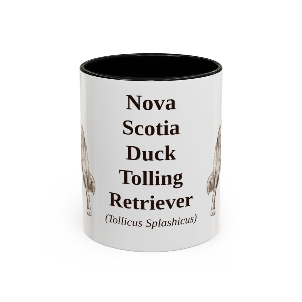 7157818706368949427_2048.jpeg 11oz Nova Scotia Duck Tolling Retriever Latin Mug, Vintage Dog Coffee Mug, Dog Lover Gift