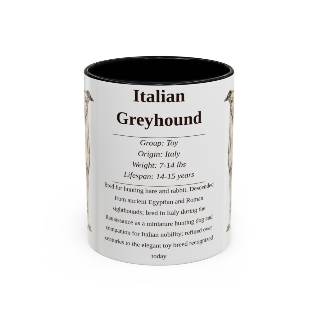7699754054984943981_2048.jpeg 11oz Italian Greyhound Mug, Illustrated Dog Breed Facts Coffee Mug, Vintage Dog Keepsake Gift