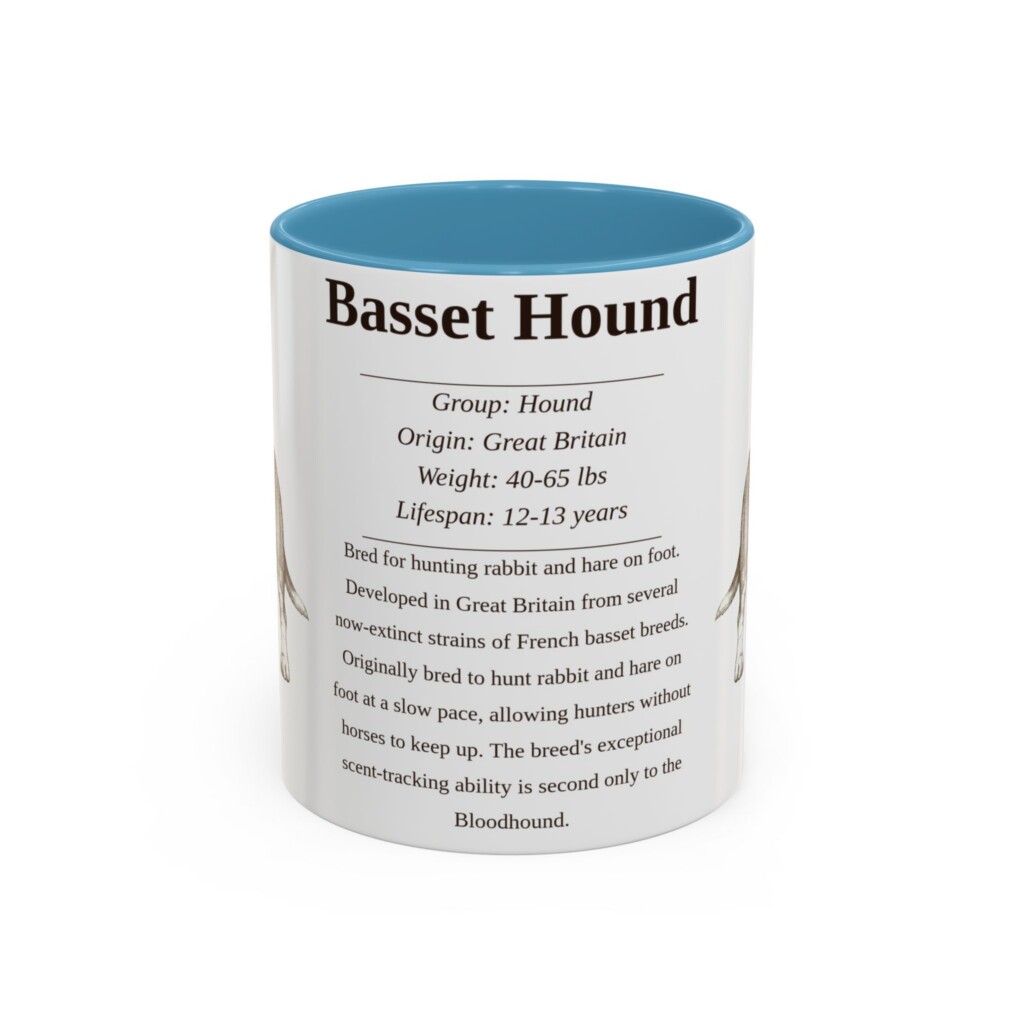 11oz Basset Hound Mug, Orange, front view