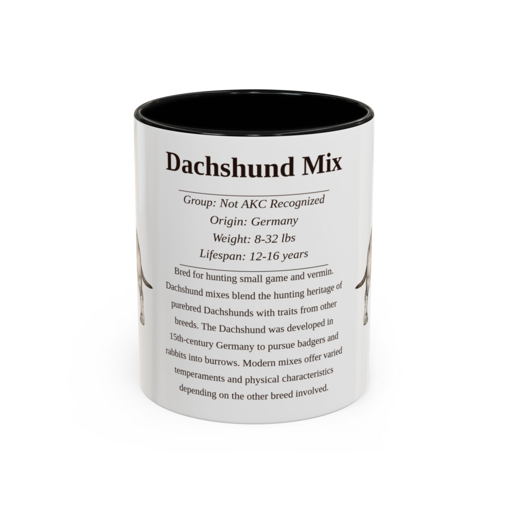 9055295033917635862_2048.jpeg 11oz Dachshund Mix Mug, Black, front view