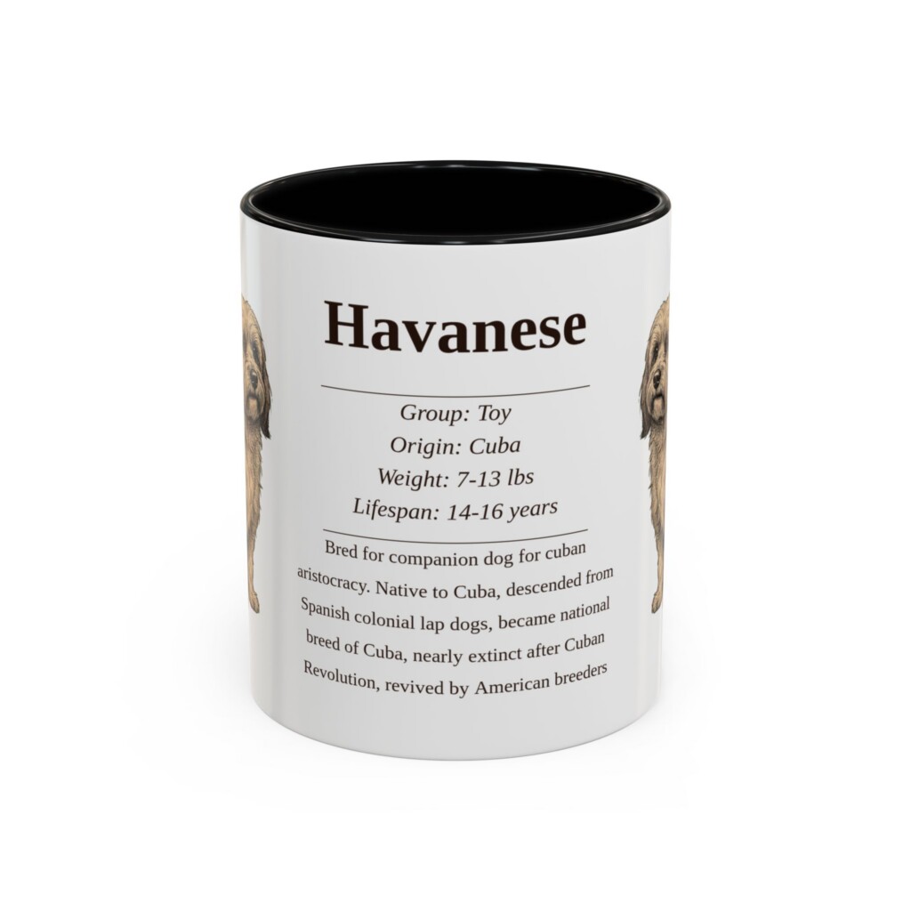 11oz Havanese Mug, Illustrated Dog Breed Facts Coffee Mug, Vintage Dog Keepsake Gift