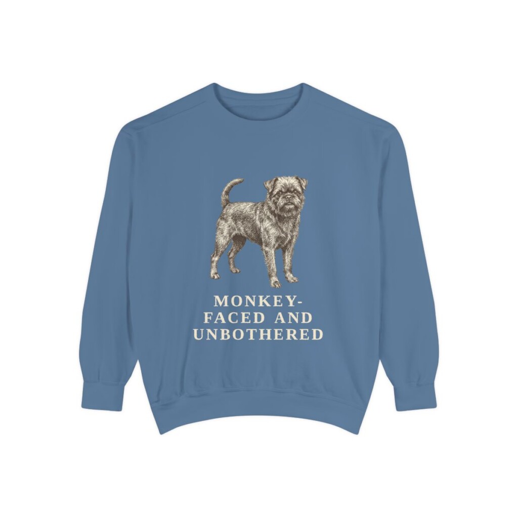 Affenpinscher Humor Sweatshirt, Blue Jean, front view