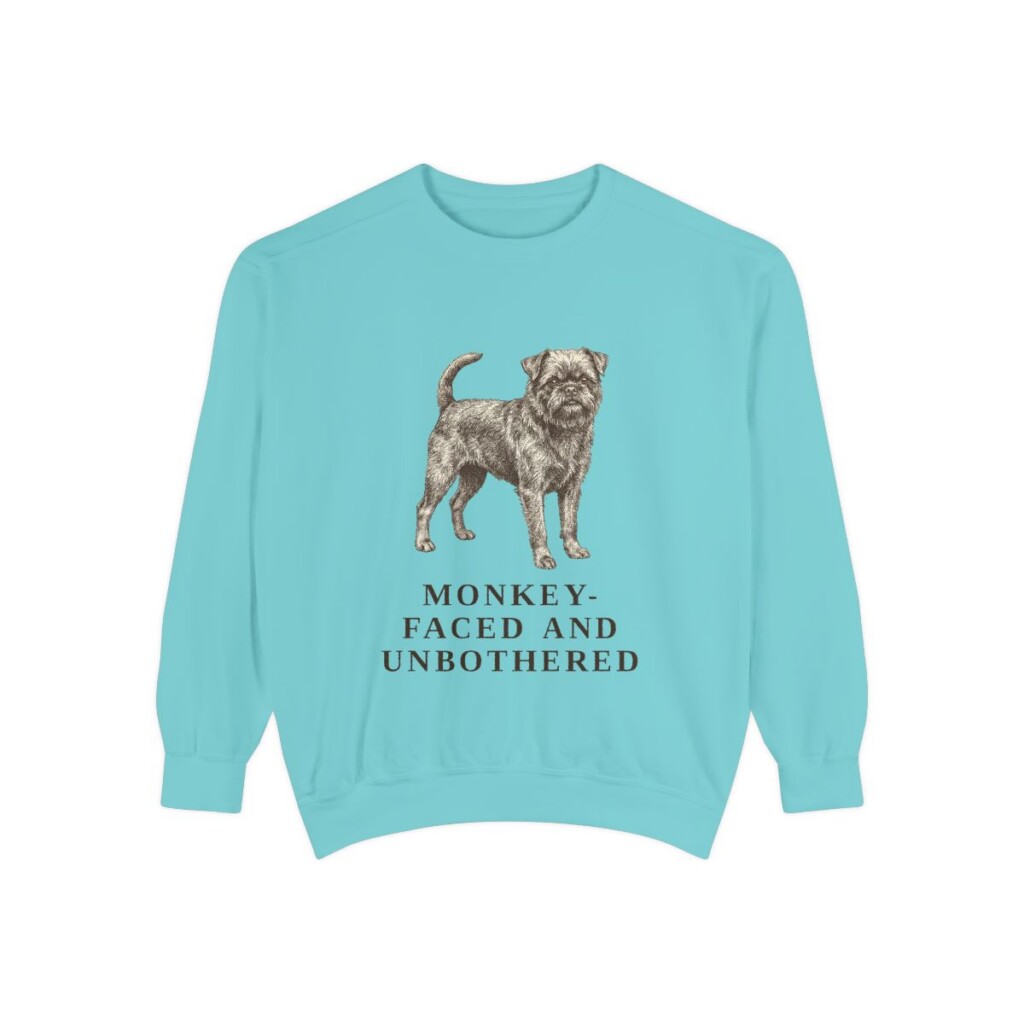 Affenpinscher Humor Sweatshirt, Chalky Mint, front view
