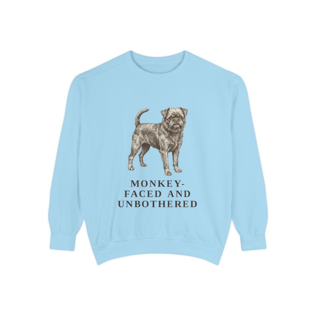 Affenpinscher Humor Sweatshirt, Chambray, front view