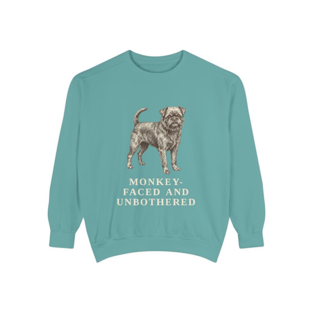 Affenpinscher Humor Sweatshirt, Seafoam, front view
