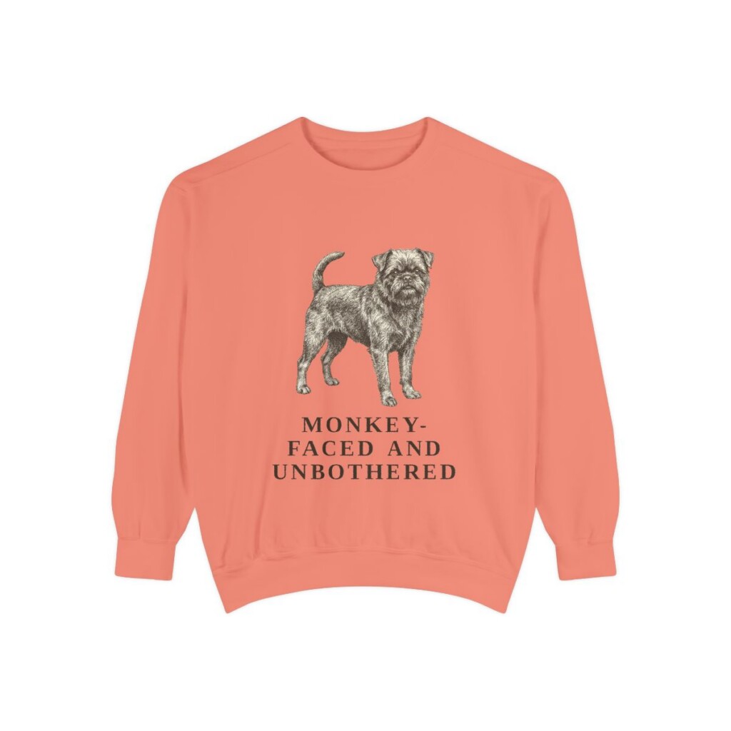 Affenpinscher Humor Sweatshirt, Terracotta, front view