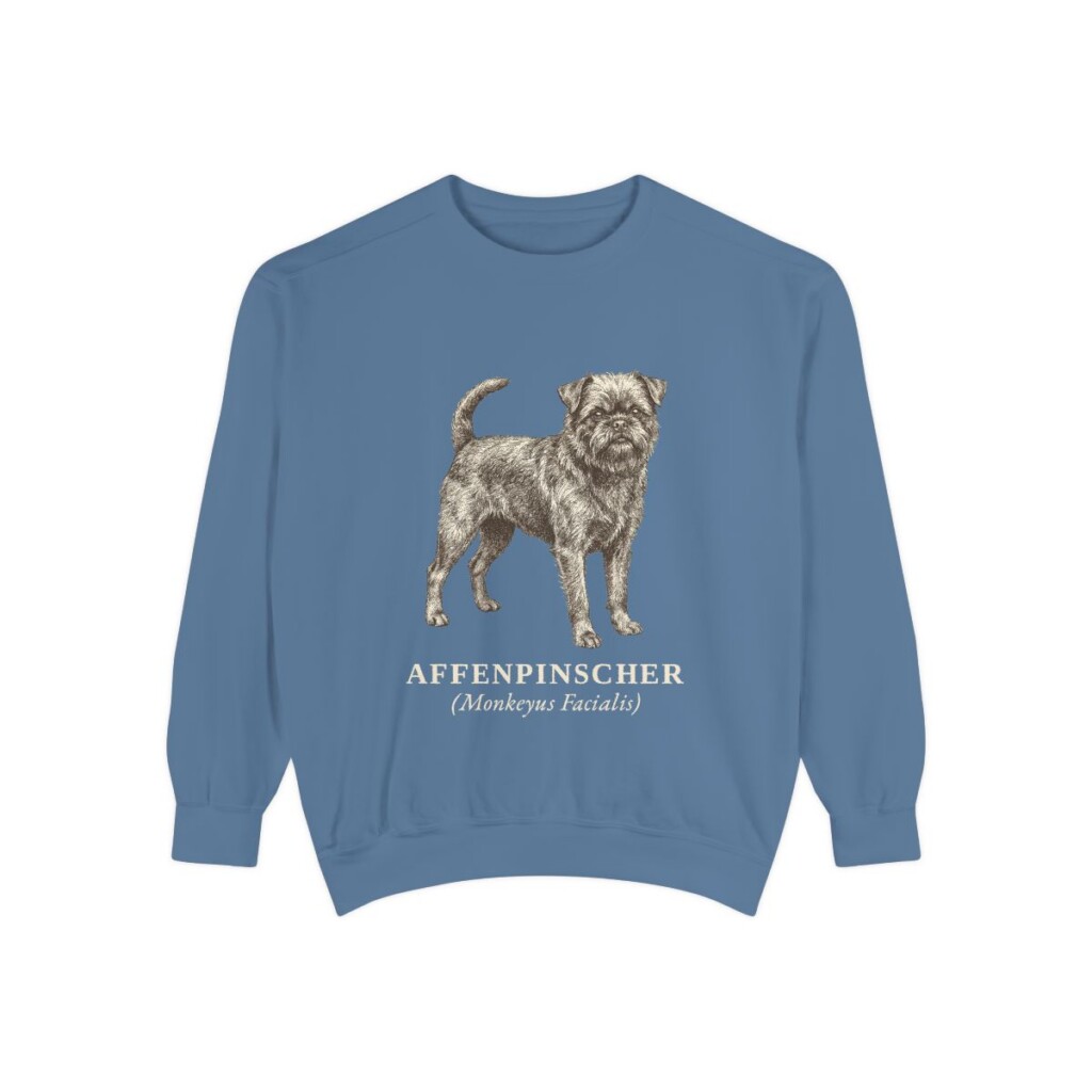 Affenpinscher Latin Sweatshirt, Blue Jean, front view